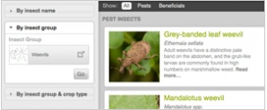 Feature Image Insect Search2